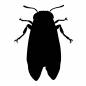 セミ セミ セミ,虫,生き物,昆虫採集,1匹,全身,羽,夏休み,休日,年中行事のシルエット素材