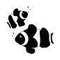 カクレクマノミ カクレクマノミ カクレクマノミ,クラウンフィッシュ,ニモ,熱帯魚,魚,フィッシュ,生き物,海水生物,夏,サマーのシルエット素材