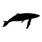 鯨 鯨 シルエット,イラスト,生物,生き物,水中生物,鯨,くじら,クジラ,水生生物,全体のシルエット素材