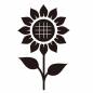 ひまわり ひまわり,花,植物,葉,咲く,暑中見舞い,栽培,ガーデニング,海水浴,レジャーのシルエット素材