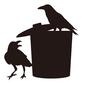 生ごみ 生ごみ カラス,生ごみ,ゴミ箱,2羽,荒らす,鳥,動物,ゴミ捨て場,生ごみ対策,蓋のシルエット素材