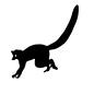 猿 猿 猿,さる,サル,生物,生き物,動物,アニマル,野生動物,哺乳類,ワオキツネザルのシルエット素材