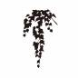 ツタ ツタ,ガーデニング,アイビー,葉,雑草,植物,垂れ下がる,紅葉,庭,観葉植物のシルエット素材