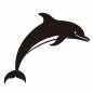 イルカ イルカ イルカ,ジャンプ,ショー,横向き,生き物,海,海中,水中,水族館,海水浴のシルエット素材