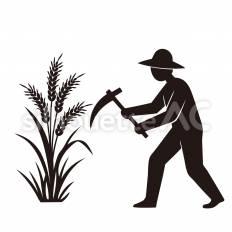 稲狩りする人 人,鎌,稲のシルエット素材