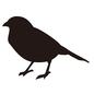 鳥 鳥 ムクドリ,スズメ,すずめ,害鳥,全身,脊索動物,横向き,1羽,トリ,ふっくらのシルエット素材