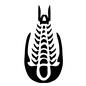 化石 化石 三葉虫,甲殻類,発掘物,裏側,カブトガニ,トゲ,節足動物,化石,骨,博物館のシルエット素材