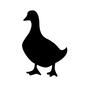 アヒル アヒル 動物,生き物,生物,アニマル,鳥類,鳥,アヒル,あひる,鴨,カモのシルエット素材