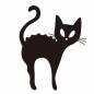 怒っている猫 怒っている猫 猫,怒る,威嚇,動物,ペット,驚く,1匹,全身,しっぽ,化け猫のシルエット素材