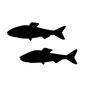魚 魚 サカナ,さかな,魚,2匹,淡水魚,川魚,鯉,コイ,フナ,イラストのシルエット素材