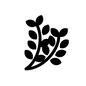 ハーブ ハーブ ハーブ,草,葉,葉っぱ,香草,薬草,2本,植物,食物のシルエット素材