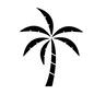 ヤシの木 ヤシの木 ヤシの木,椰子,椰子の木,植物,1本,ハワイの木,リゾート,南国,マリン,夏のシルエット素材