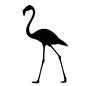 フラミンゴ フラミンゴ フラミンゴ,鳥,とり,トリ,歩く,二本足,横向き,細い,移動する,野鳥のシルエット素材