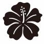 ハイビスカス ハイビスカス ハイビスカス,花,植物,咲く,南国,トロピカル,海水浴,海,レジャー,ビーチのシルエット素材