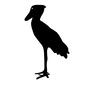 ハシビロコウ ハシビロコウ ハシビロコウ,生物,生き物,動物,アニマル,野鳥,鳥,大きな嘴,立つ,動物園のシルエット素材