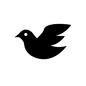 鳩 鳩 鳩,ハト,白鳩,鳩リリース,ハトリリース,リリース,鳥,祝福,幸福,シンボルのシルエット素材