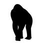 ゴリラ ゴリラ ゴリラ,歩く,正面,歩く,移動する,霊長類,力強い,野生,生き物,野生動物のシルエット素材