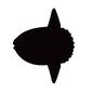 マンボウ マンボウ 魚,生き物,生物,マンボウ,翻車魚,ヒレ,ひれ,エラ,えら,魚類のシルエット素材