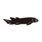 魚 魚 古代生物,海の生き物,古代魚,魚,全身,横向き,復元物,古生物,発掘物,化石のシルエット素材