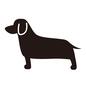 犬 犬 ダックス,ダックスフント,ダックスフンド,室内犬,横向き,犬,いぬ,イヌ,ペット,動物のシルエット素材