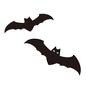 コウモリ コウモリ コウモリ,生き物,飛ぶ,2匹,目,悪魔,正面,墓地,哺乳類,羽のシルエット素材