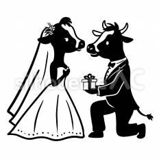 牛 牛,カップル,結婚のシルエット素材