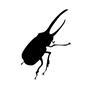 カブトムシ ムシ,むし,虫,昆虫,生き物,生物,1匹,カブトムシ,ヘラクレス,甲虫のシルエット素材