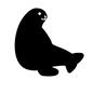 アシカ アシカ あしか,アシカ,海驢,生き物,生物,海の生き物,水族館,一頭,起き上がる,診察のシルエット素材
