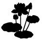 蓮 蓮,ハス,蓮の花,ハスの花,花,葉,葉っぱ,水生植物,開く,咲くのシルエット素材