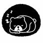 冬眠するクマ クマ,冬眠,スヤスヤ,寝る,動物,動物園,洞穴,かわいい,1匹,冬のシルエット素材