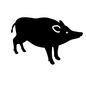 いのしし いのしし いのしし,イノブタ,猪,一頭,野生,野生動物,全身,横向き,短いしっぽ,動物のシルエット素材