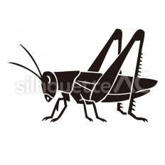 バッタ バッタ,脚,関節のシルエット素材