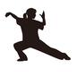太極拳 太極拳 太極拳,人,人物,女性,全身,横向き,ポーズ,武術,ポニーテール,女の人のシルエット素材