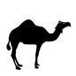ラクダ 動物,生物,生き物,ラクダ,らくだ,駱駝,コブ,ヒトコブラクダ,シルエット,イラストのシルエット素材