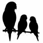 オウムの親子 オウムの親子 オウム,鳥,枝,動物,親子,生き物,かわいい,ファミリー,スキンシップ,親子愛のシルエット素材