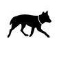 北海道犬 北海道犬 犬,いぬ,イヌ,動物,生き物,ペット,家族,可愛い,癒し,イラストのシルエット素材