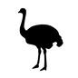 ダチョウ ダチョウ 動物,生き物,生物,アニマル,ダチョウ,鳥,鳥類,野生動物のシルエット素材