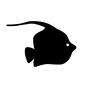 魚 魚 魚,熱帯魚,泳ぐ,ツノダシ,一匹,海中,マリン,夏,海の生き物,生き物のシルエット素材