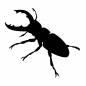 クワガタ クワガタ クワガタ,虫,生き物,昆虫採集,1匹,全身,昆虫,夏休み,休日,年中行事のシルエット素材