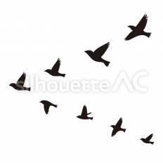 渡り鳥 鳥,翼,群れのシルエット素材