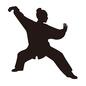 太極拳 太極拳 太極拳,武術,少林拳,構える,ポーズ,カンフー,型,人,人物,開くのシルエット素材