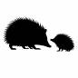 ハリネズミの親子 ハリネズミの親子 ハリネズミ,チクチク,トゲ,動物,親子,生き物,かわいい,ファミリー,スキンシップ,親子愛のシルエット素材